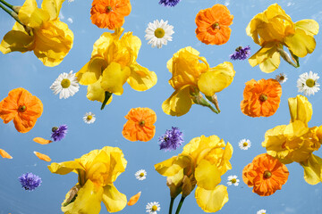 Fototapety na wymiar - Fototapeta24.pl