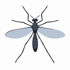 Illustration of a mosquito with detailed features and wings  