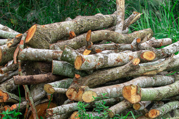 Stacked albizia wood logs showing natural texture and grain, perfect for forestry, timber industry, or rustic background themes.