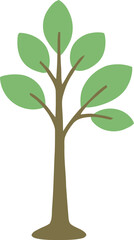 Obraz premium young tree sprout growing symbol