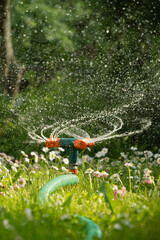 Watering garden with hose. Heat summer. Automatic smart irrigation system. Close up.