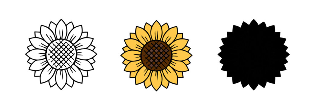 Sunflower Icons Represented with Line Art and Silhouette Against White Background