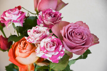 カラフルなばら