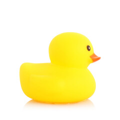 One cute rubber duck on mirror surface against white background