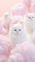 Fototapeta premium Cat animal mammal kitten.