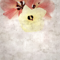 square stylish old textured paper background with flowers of Hibiscus tiliaceus, coast hibiscus