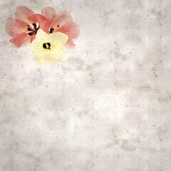 square stylish old textured paper background with flowers of Hibiscus tiliaceus, coast hibiscus