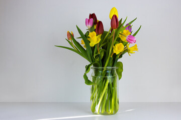 Colorful spring tulips and daffodils arranged in a transparent glass vase against a neutral background. 

