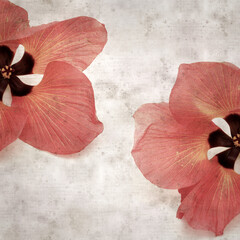 square stylish old textured paper background with flowers of Hibiscus tiliaceus, coast hibiscus