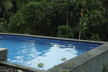 Outdoor swimming pool with clear water and green plants