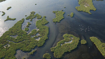 Aerial View of Wetland Habitat with Flamingo Pond
