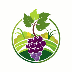 Vector logo concept for a winery showing stylized grape bunches, green foliage and winding vine branches in minimalistic style