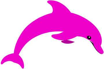 vector illustration of a dolphin
