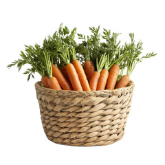 Basket full of fresh carrots on white background