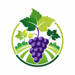 Elegant grape and vine logo designed for a wine production company featuring crisp lines and botanical-inspired details
