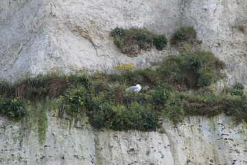 Photos du Tr&eacute;port en,France