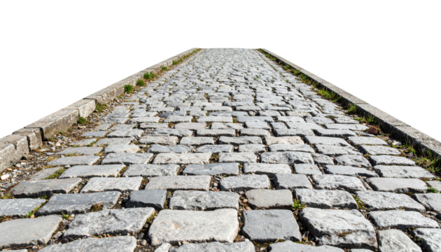 A cobblestone pathway stretches upward, bordered by concrete edges, with small patches of grass between stones against a black background.