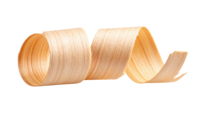 A light-colored, curly wood shaving with smooth texture and natural grain patterns.
