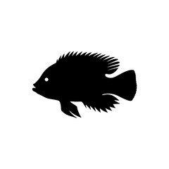  silhouette of a fish with spiky fins on white background on white background , no background