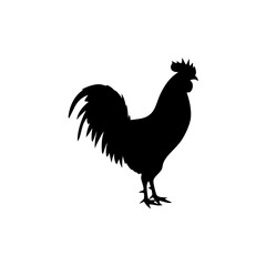 A silhouette of a rooster standing on a white background image on white background , no background