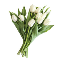 Fototapeta premium Bouquet of white tulips isolated on white background