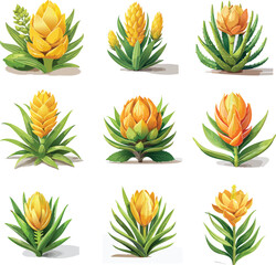 Fototapeta premium Cereus Cactus Set Vector – Tall Columnar Succulent Plant Illustration Collection