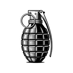 grenade vector illustration