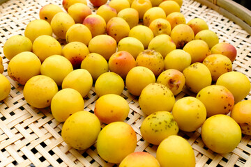 竹のざるに並んだ粒の大きい完熟した梅の果実_13