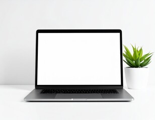 Minimalist workspace featuring a laptop with a blank screen and a succulent plant