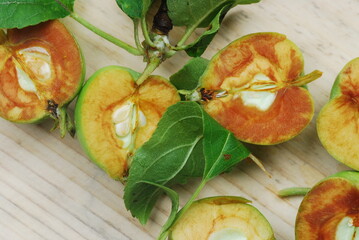 Apples cut in a half on a flat, leaves and apples