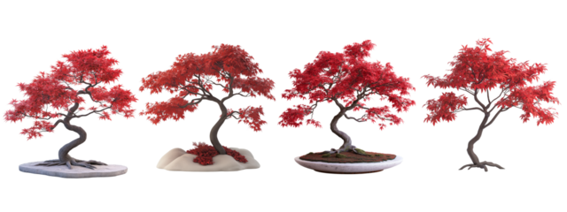 A small, ornamental Japanese maple tree with delicate, finely cut crimson-red leaves. The branches curve gracefully and symmetrically. Hyper-realistic, detailed, and clearly isolated