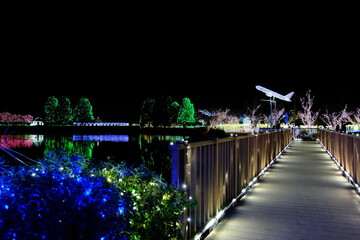 かわちイルミネーション　茨城県