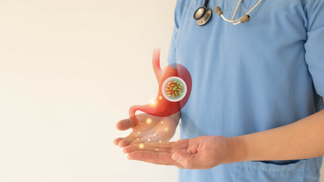 Gastroenterologist showing Helicobacter pylori bacteria infects human stomach. H.pylori infections may result in stomach inflammation (gastritis) and peptic ulcer disease. Gastroenterology concept.
