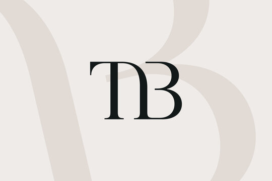 TB or BT letter logo icon design. Classic style luxury initials monogram.