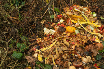 Compost pile made of organic food, leaves, vegetable and fruit waste mix