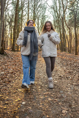 Fototapeta premium Two female friends on a walk in the forest. Friends walking through the forest. People in nature.