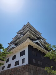 Fototapeta premium SF4