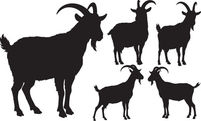 Standing goat with horns silhouette vector illustration