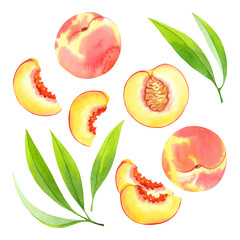 Watercolor peaches and green leaves on transparent background