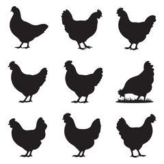 Hen Silhouette Vector Bundle