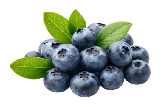 Fresh blueberries with green leaves isolated on transparent background