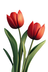 Fototapeta premium Vibrant Red Tulips A Stunning Floral Illustration of Spring's Elegance