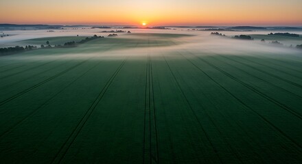 A breathtaking sunrise casts a golden glow over a vast, misty farmland, symbolizing new beginnings and the serene beauty of an eco-friendly environment.