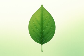 Obraz premium A Soft Colour Transition from White to Green, Featuring a Detailed Leaf in the Centre