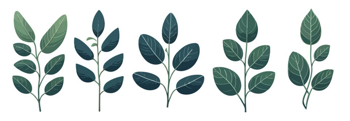 Vector set of houseplants ficus pumila © ngentutgajah