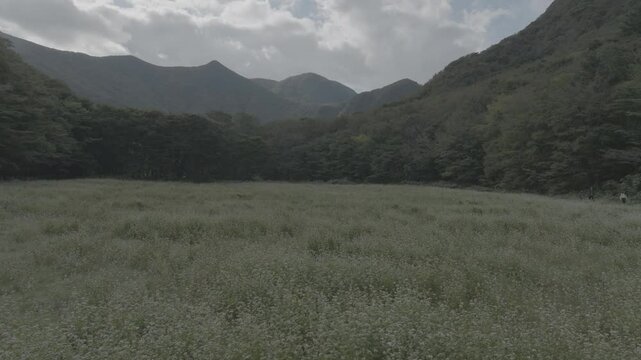 Aerial drone view of Nari Basin, Ulleung-do South Korea