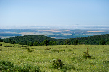 Fototapeta premium mountain landscape with trees and clouds in Bulgaria