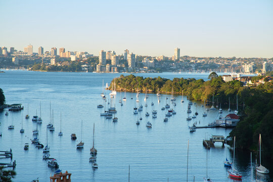 Numerous boats anchored in the ocean with city skyline in the foreground.