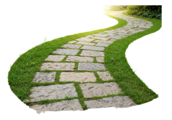 Isolated Stone Path Grass Sunlight