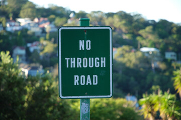 "No Through Road" road sign on a green plate.